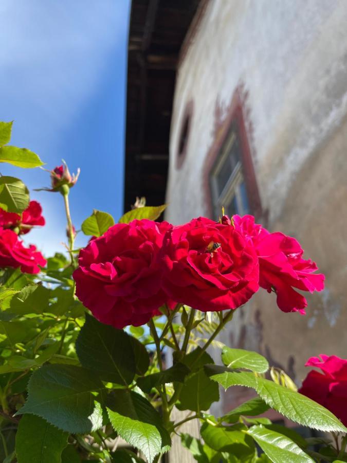 Ansitz Thalerhof Lägenhet Lana Exteriör bild